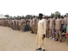 Over 700 Repentant Terrorists Set for Reintegration into Society repentant terrorists