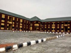 The Hidden Tech Talent in Nigerian Polytechnics: An Untapped Goldmine for National Growth The Hidden Tech Talent in Nigerian Polytechnics: An Untapped Goldmine for National Growth