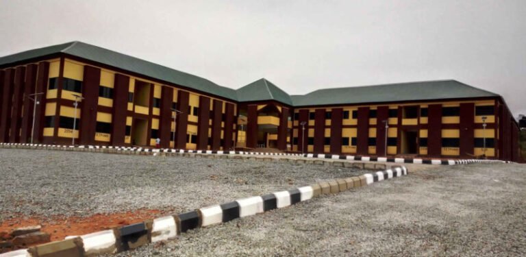 The Hidden Tech Talent in Nigerian Polytechnics: An Untapped Goldmine for National Growth
