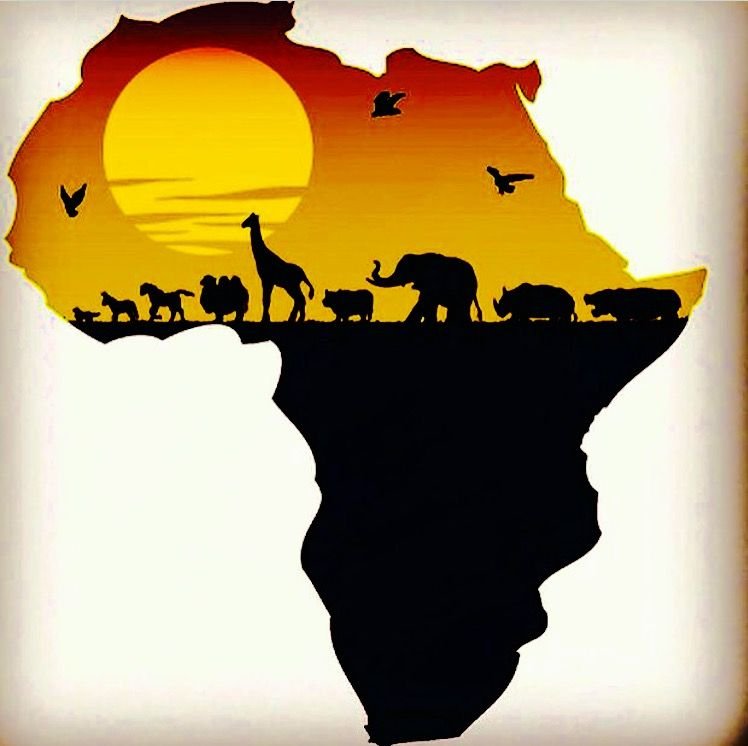 How Africa's Top Performing Currencies Define Regional Stability