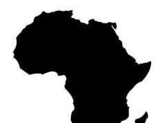 How Africa’s Top Performing Currencies Define Regional Stability How Africa's Top Performing Currencies Define Regional Stability