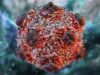 No Hantavirus Case In Nigeria – NCDC Confirms, Boosts surveillance Hantavirus