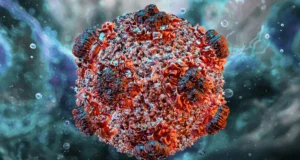 No Hantavirus Case In Nigeria – NCDC Confirms, Boosts surveillance Hantavirus