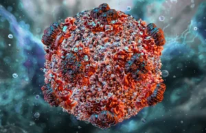 New Deadly Virus, Hantavirus Discovered, WHO Confirms 3 Deaths Already, Rising Number of Infection Hantavirus