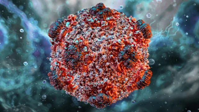 Hantavirus
