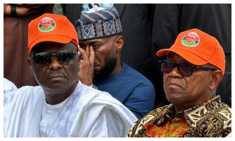 Peter Obi single term