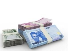 The Naira Finds Its Footing: A Historic Breakthrough in April The Naira Finds Its Footing: A Historic Breakthrough in April