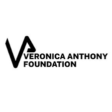 VAF, TechRise Launch Digital Skills Training Initiative to Empower Nigerian Youth