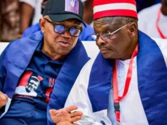 VIDEO: Residents Burn Obi–Kwankwaso Posters in Kano Kano