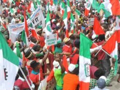 Driven by Hardship: Why Organized Labor Is Rejecting the N100,000 Wage Proposal Driven by Hardship: Why Organized Labor Is Rejecting the N100,000 Wage Proposal