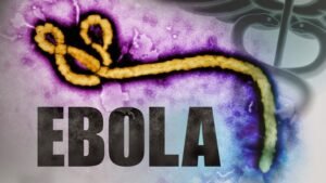 Strategic Shield: Nigeria Swings Into Action With N10 Billion Ebola Defense Fund