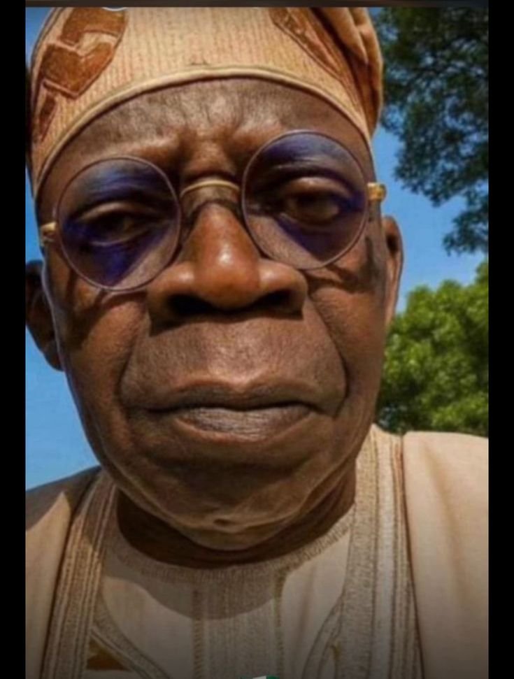 Democratic Heroes: Nigeria Honours 50 Icons of the June 12 Struggle