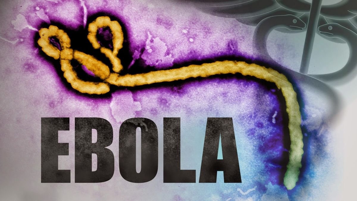 Strikes Cripple Ebola Medical Teams as Cases Rise