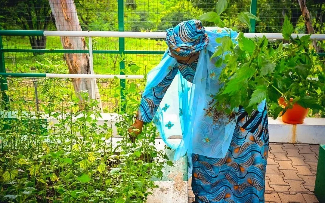 Remi Tinubu in her Aso Rock garden