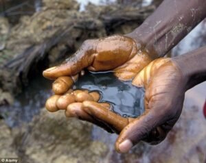 Leaked Documents Raise Fresh Questions Over Shell Environmental Records