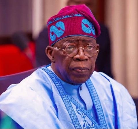 Tinubu Appoints Kola-Oyeneyin, Mutallab for NIPC and NEPZA