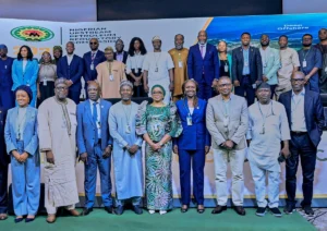 Nigeria Awards 37 Oil Blocks to 31 Energy Companies in Major Bidding Milestone