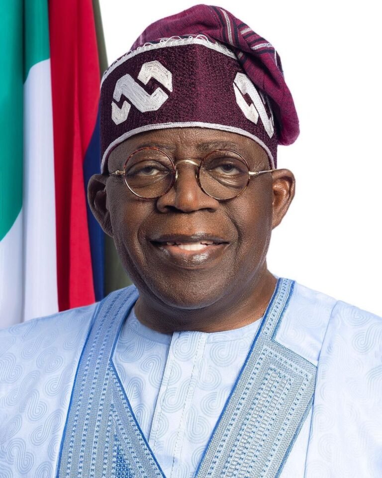 Understanding the Local Effect of Tinubu's Economic Policy Impact