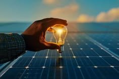 Seplat Energy Share Price Surge Reaches Historic Heights in Local Trading