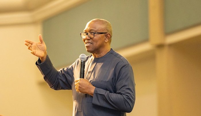 Obidient group asks Nigerians in diaspora to ‘sponsor people to vote’