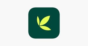 Why the Bamboo App Down Time During IPO Happened