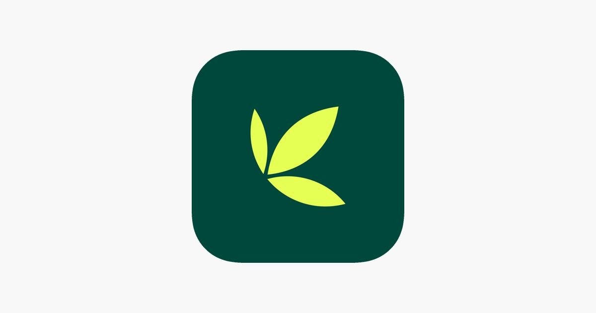 Why the Bamboo App Down Time During IPO Happened