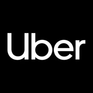 robotaxi