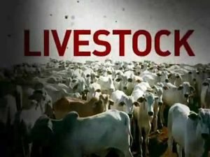 FG Expands Livestock Development Project to 10 Additional States