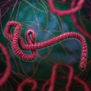 Kenya records ninth Ebola case
