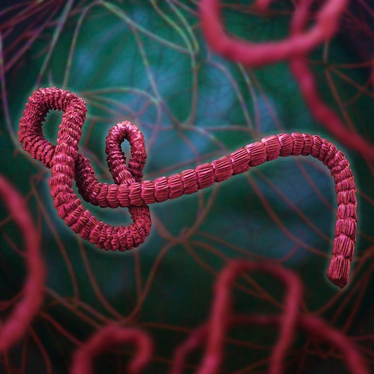 Kenya records ninth Ebola case