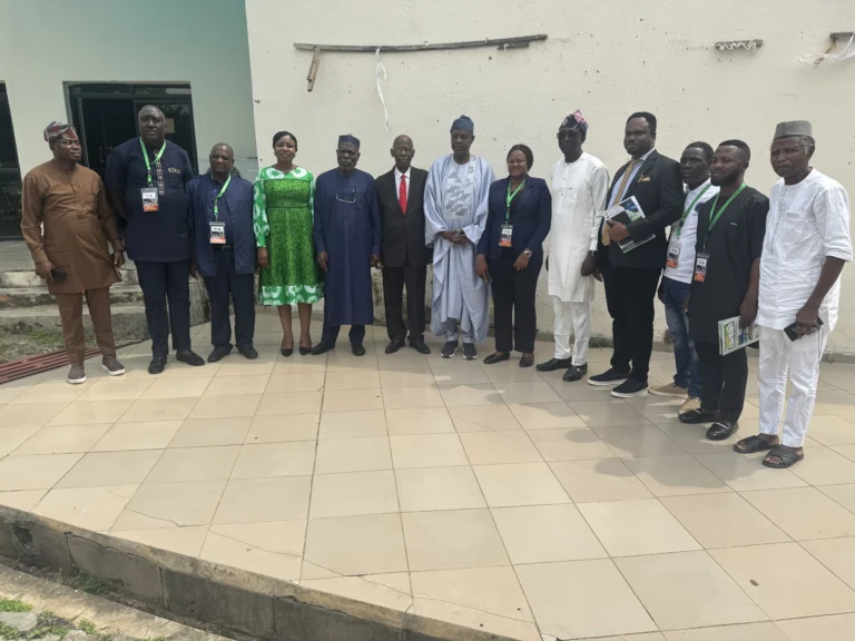 Experts Push Satellite Technology, AI to Strengthen Nigeria’s Fight Against Insecurity