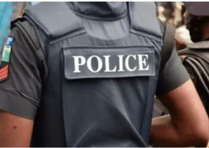 15 states endorse state police